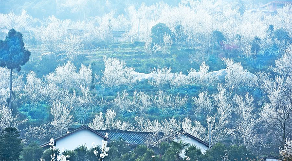 樱桃山旅游景区