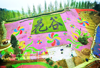 仙山花谷第 1 张图片
