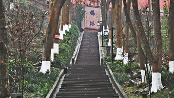 白鹤山风景名胜区