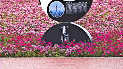 北湖生态公园第 1 张图片