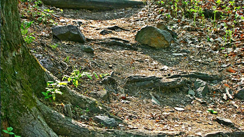 北京鹫峰国家森林公园