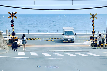 长沙海底世界第 64 张图片