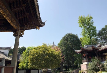 沃洲湖风景区第 28 张图片