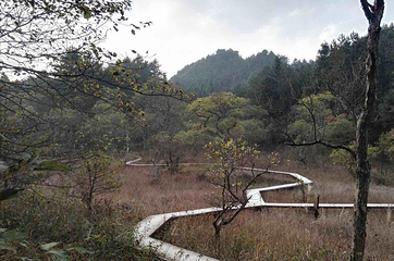 妙道山第 14 张图片