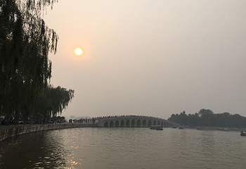 北京动物园大熊猫馆第 28 张图片