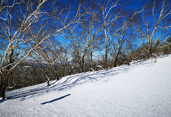 亚布力滑雪旅游度假区第 33 张图片