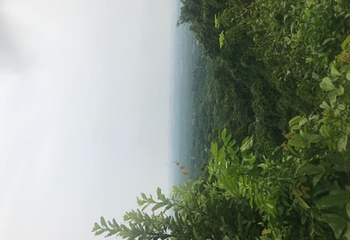 西海岸带状公园第 19 张图片