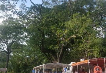 亚庇市立清真寺第 10 张图片
