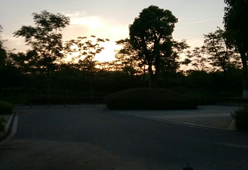 武汉后官湖国家湿地公园第 28 张图片