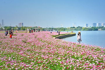 海珠国家湿地公园第 19 张图片