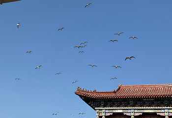 八仙过海景区第 57 张图片