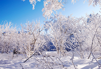 丝绸之路山地度假区滑雪场第 55 张图片