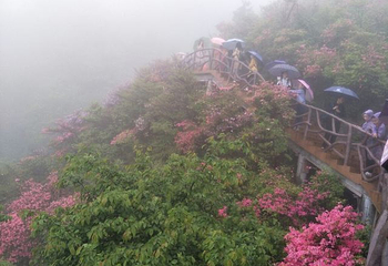 英山县天马寨风景区第 34 张图片