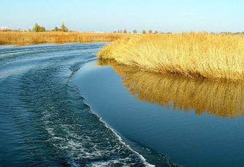 乌伦古湖国家湿地公园第 31 张图片