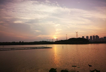 武汉后官湖国家湿地公园第 21 张图片