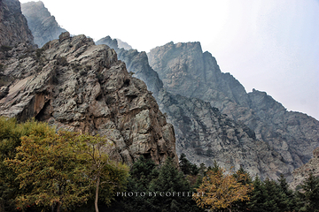 贺兰山岩画第 48 张图片