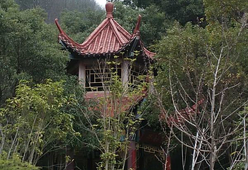 醉石温泉第 14 张图片