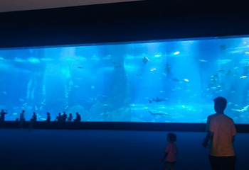福建天柱山欢乐大世界第 63 张图片