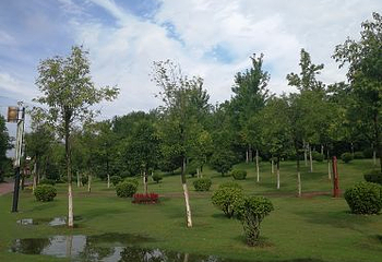 沙澧河风景区第 11 张图片