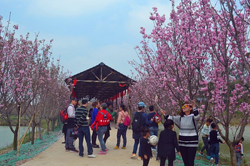花果山开心农场第 9 张图片