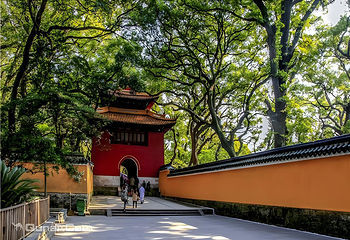 普陀山风景区第 5 张图片