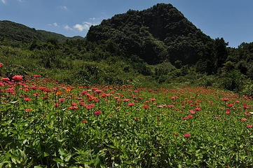 花坝旅游度假区第 23 张图片