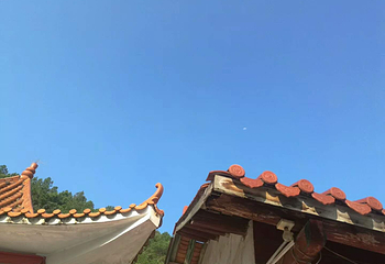 广东神光山国家森林公园第 20 张图片
