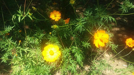 彭墩乡村世界第 16 张图片