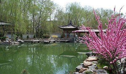 西宁植物园第 4 张图片