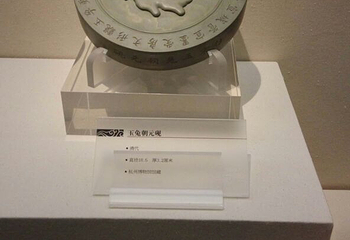 浙江自然博物院第 27 张图片