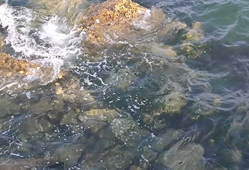 海昌渔人码头风景区第 78 张图片