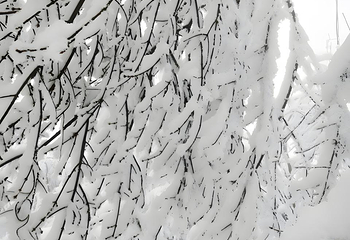 西岭雪山（滑雪场景区）第 75 张图片