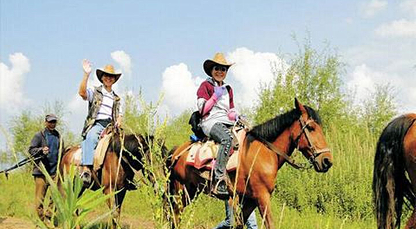 拉市海恩宗四队马场