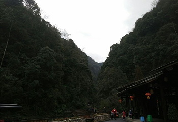 十二背后·地下裂缝景区第 39 张图片