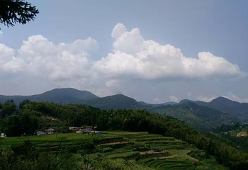 泽雅景区第 29 张图片