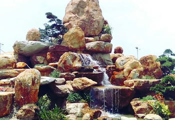 中山德华湿地花海第 15 张图片