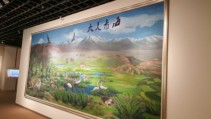 青海省博物馆第 39 张图片