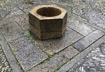 怡园第 67 张图片