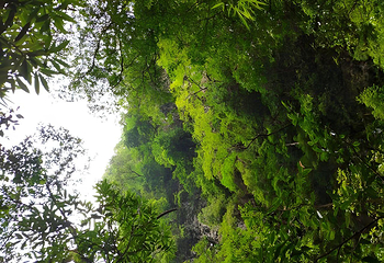 黑山谷风景区第 36 张图片