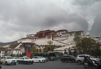 拉萨清真大寺第 10 张图片