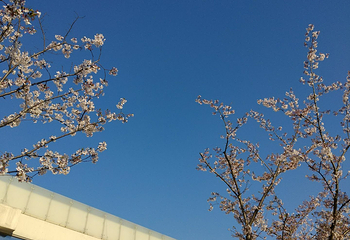 台北艺术大学第 3 张图片