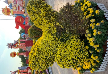 蚌埠花博园第 20 张图片