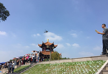 愤怒的小鸟乐园第 14 张图片
