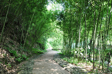 广德灵山大峡谷第 36 张图片