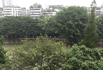 郑东新区湿地公园第 7 张图片
