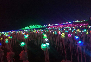 兴义润黔花海国际灯光节第 10 张图片
