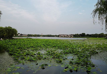 苏州阳澄湖半岛旅游度假区第 39 张图片