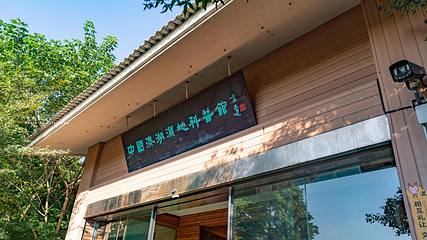溱湖国家湿地公园第 78 张图片