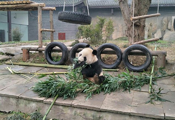 仙芝竹尖生态园第 15 张图片