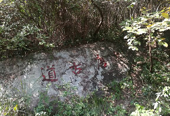 司空山第 6 张图片